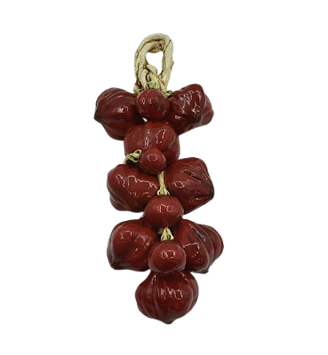 PENCA DE TOMATES MENORES