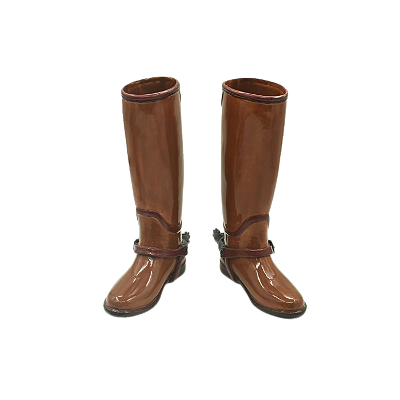 BOTAS COM ESPORA