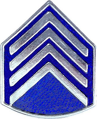 DIVISA DE GOLA - 2º SARGENTO