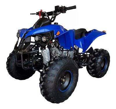 Quadriciclo 125cc Partida Elétrica Com Ré Motor Monocilíndrico 4 Tempos Gasolina