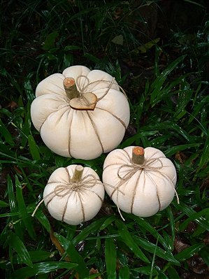 Trio Abóboras - bege