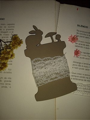 PORTA FITAS  - COELHO