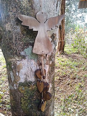 Penca de anjo com Corações