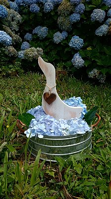 Ganso - Branco Desgastado