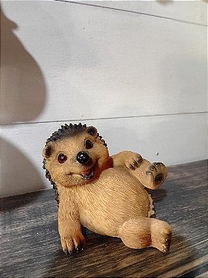 Porco espinho sapeca