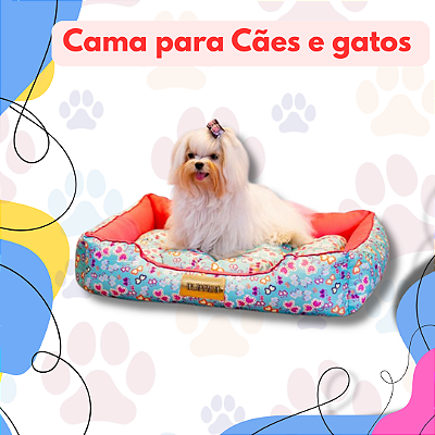 Cães e gatos