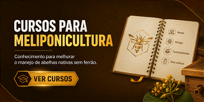 Cursos para Meliponicultura