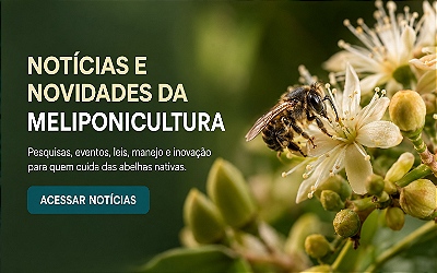 Notícias e Novidades da Meliponicultura