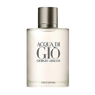 Perfume Acqua di Gio - Giorgio Armani - 100ml #
