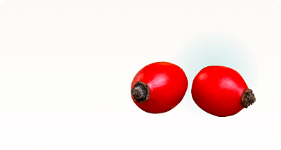 Óleos Vegetais || Confira