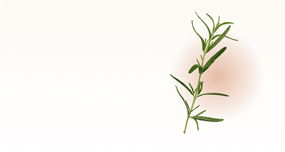 Óleos Essenciais || Confira