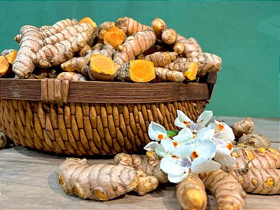 Rizoma  fresco de Cúrcuma Pura de Origem (200g) - Fazenda Soul Leve