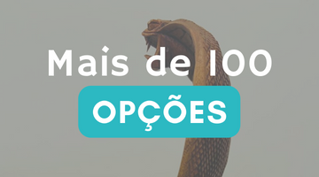 Muitas opções