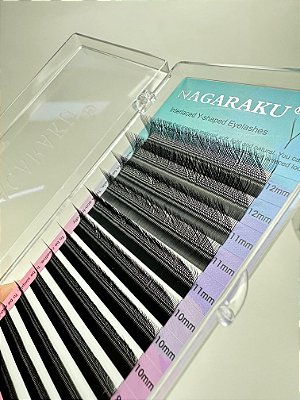 Nagaraku Y Curvatura M (LU)