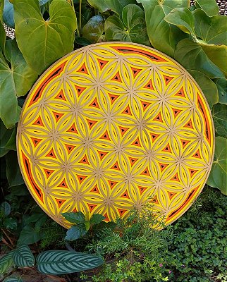 Mandala Flor da Vida Am-La
