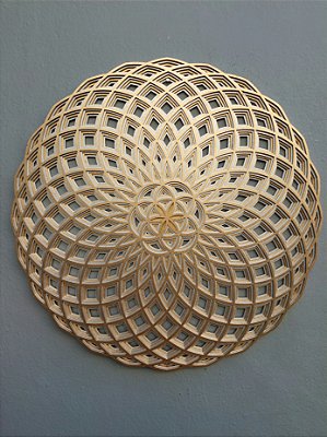 Mandala Torus com Semente da Vida