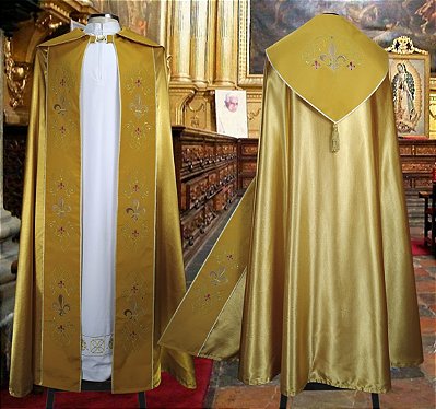 Capa de Asperge Festiva Dourada CG 319