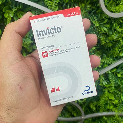 Invicto Antiparasitário - Dechra