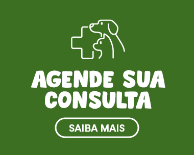 Sem Congelar