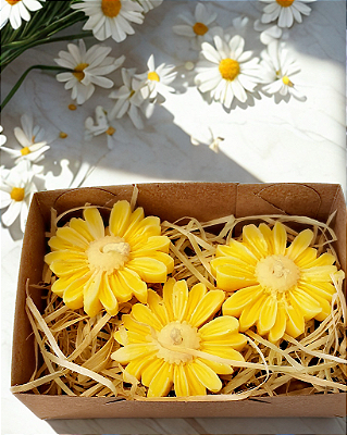 KIT TRIO MARGARIDAS - Vela Aromáticas Flutuantes - " 3 formas de dizer "Mãe, Eu Te Amo"