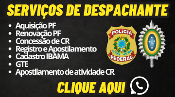 SERVIÇOS DESPACHANTE