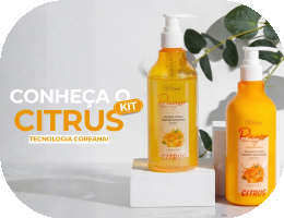 Citrus Mini Banner Square