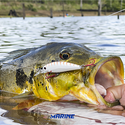 Isca RAPTOR SHAD 70
