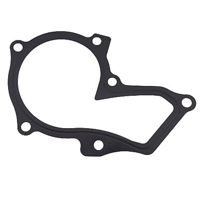 Junta Bomba Água Motor Sigma Focus Ka New Fiesta Ecosport