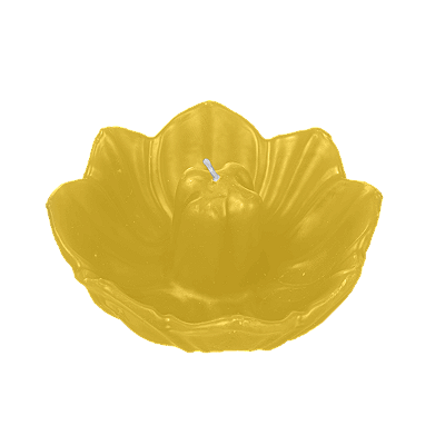 Vela G Perfumada (401g)