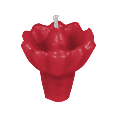 Vela Flor N02 (40g)