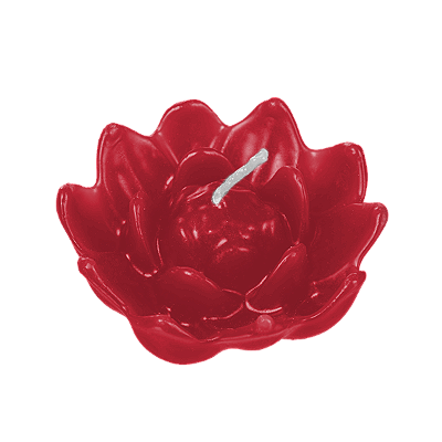 Vela Flor N06 (61g)