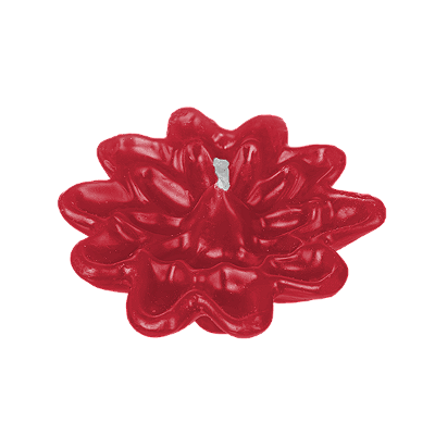 Vela Flor N07 (55g)