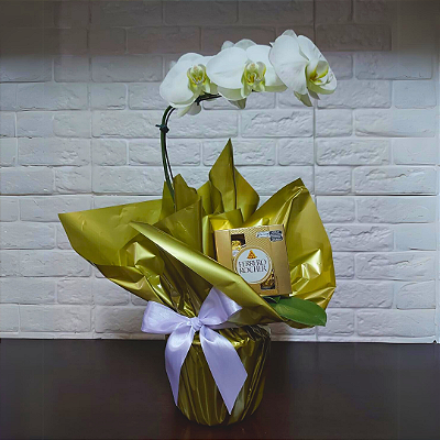 Orquídea Phalaenopsis com Ferrero Rocher 4 unidades