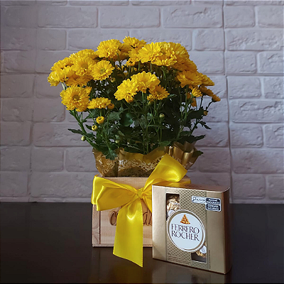 Mini Margarida Amarela na Caixa com Ferrero Rocher 04 Unidades