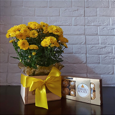 Mini Margarida Amarela na Caixa com Ferrero Rocher