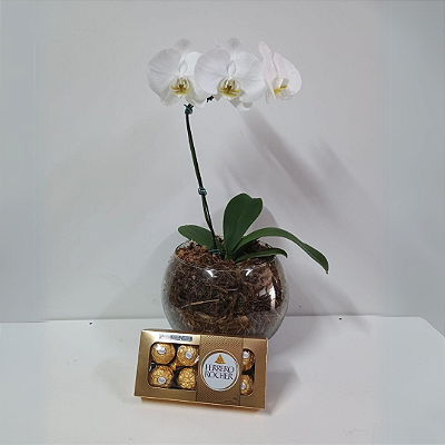 Orquídea Phalaenopsis Branca no Vidro com Ferrero Rocher 08 Uni