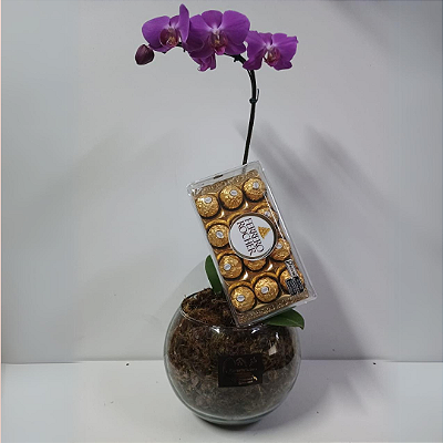 Orquídea Phalaenopsis Lilas no Vidro com Ferrero Rocher