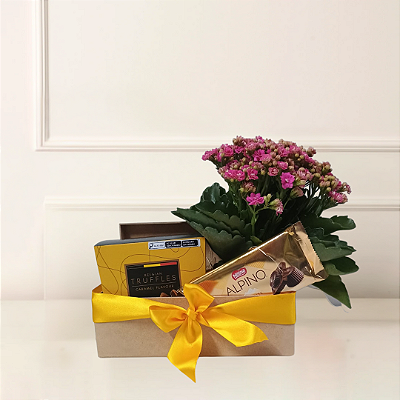Baú Flores e Chocolates