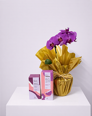 Encanto Dourado & Lavanda
