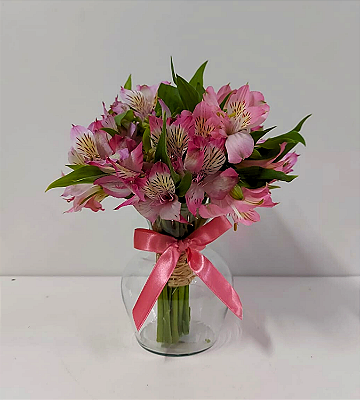 Amor de Astromélias