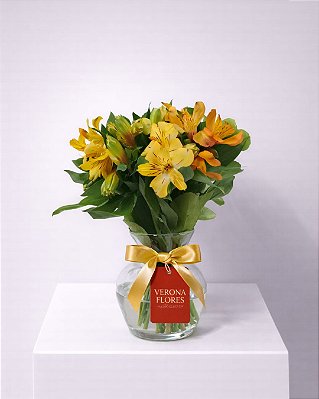 Arranjo Luz do Campo