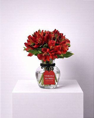 Arranjo Rubi Tropical