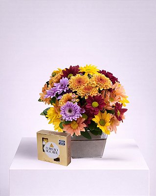 Combo Harmonia das Cores