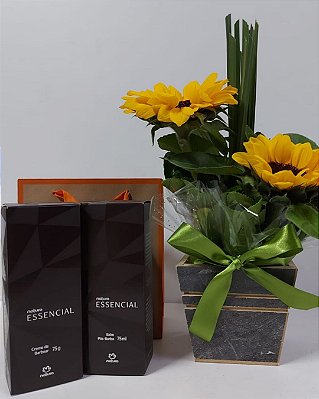 Arranjo Essência Solar