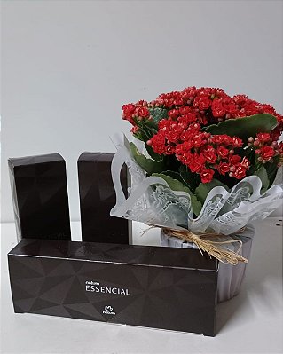 Arranjo Essência Rubi