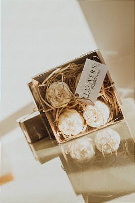 PONTINHOS DE LUZ - FLOWERS