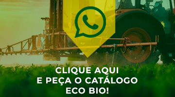 acesso catálogo 2