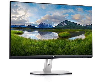 Monitor Dell de 24" - S2421HN - Full HD - IPS - AMD FreeSync