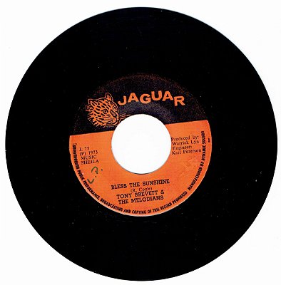 TONY BREVETT - BLESS THE SUNSHINE
