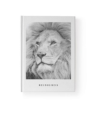 Bíblia Sagrada - Nova Almeida Atualizada - NAA - Rei dos Reis - Letra Grande